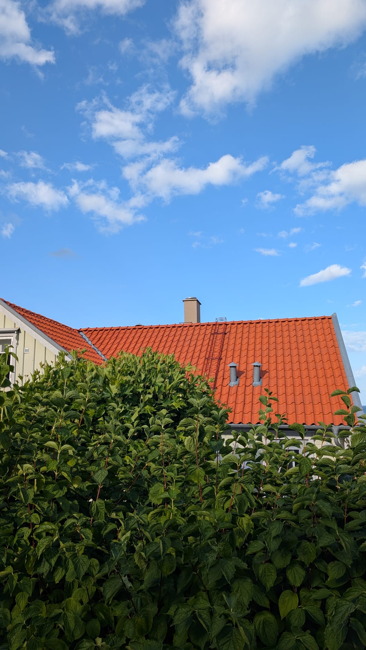 Taktvätt Båstad - villatak