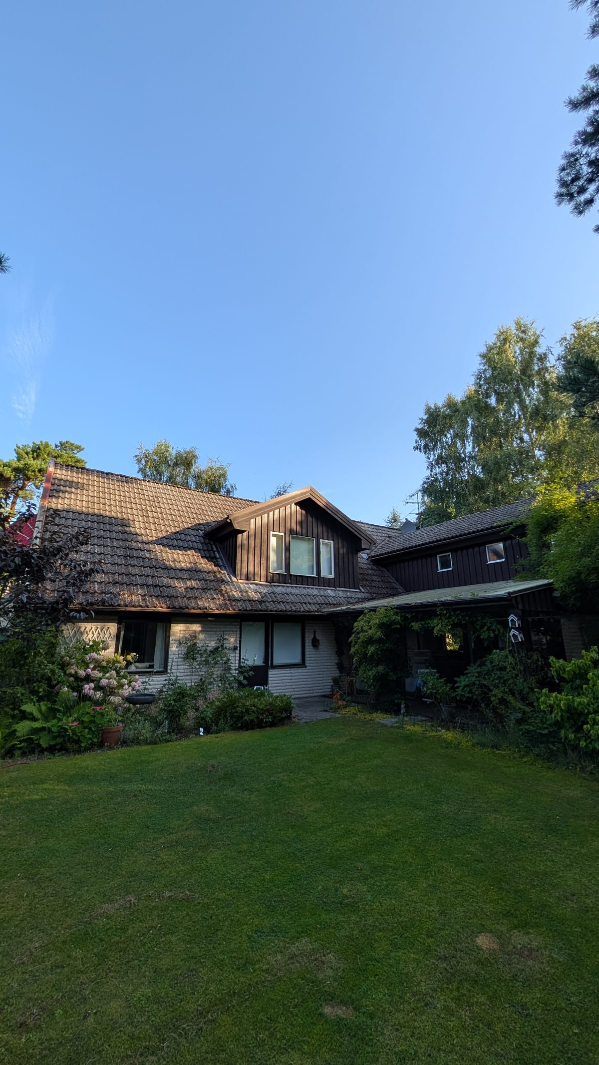 Taktvätt Höllviken - villa omgiven av tallar