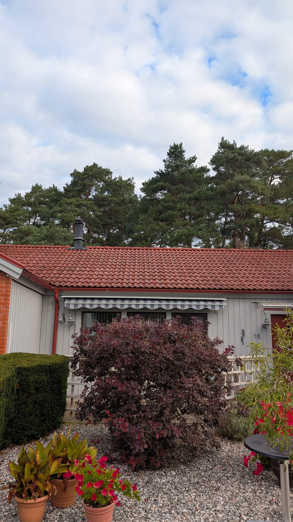 Taktvätt Hörby - rött hus med rengjort tak