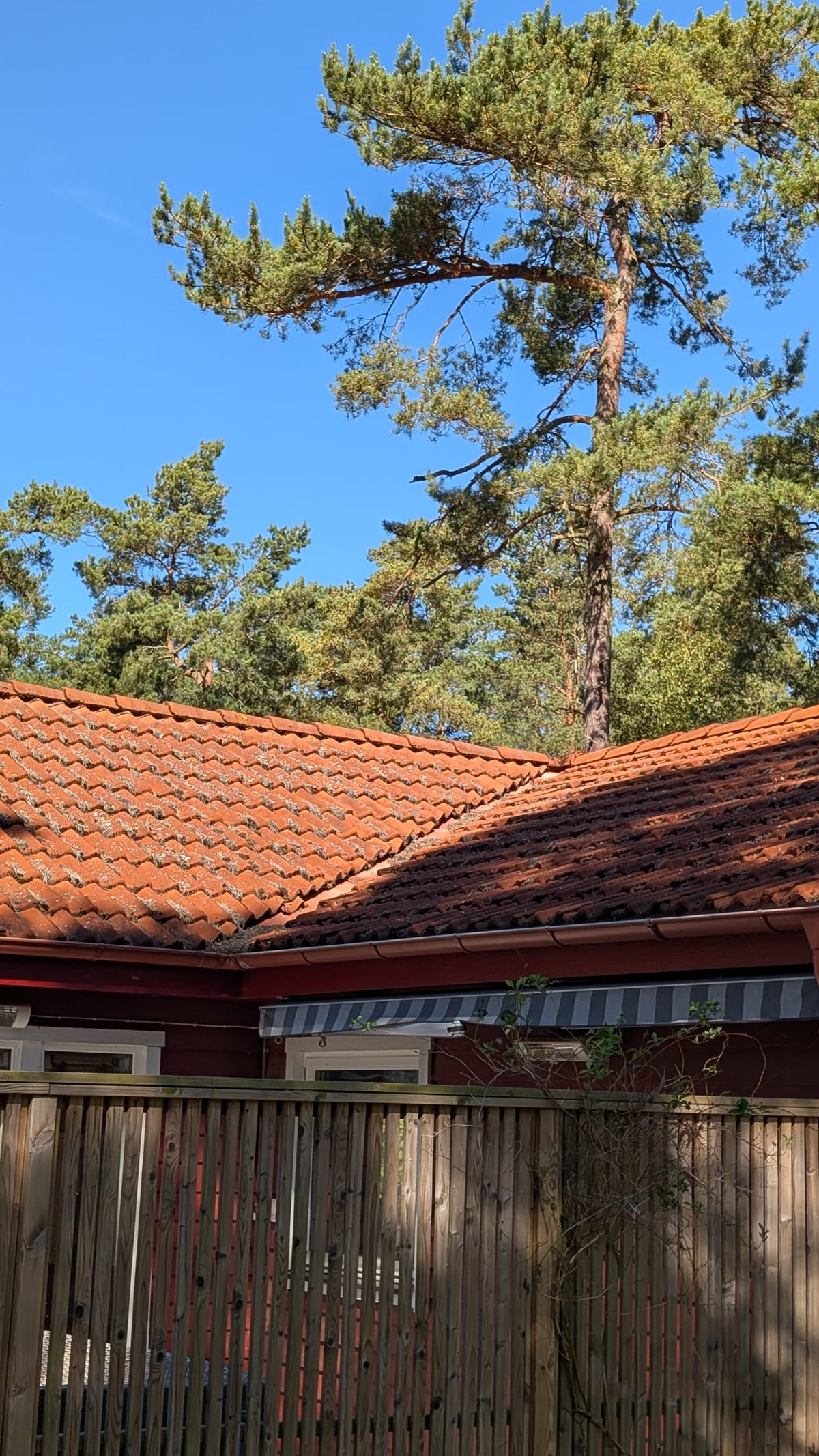 Taktvätt Kävlinge - villatak