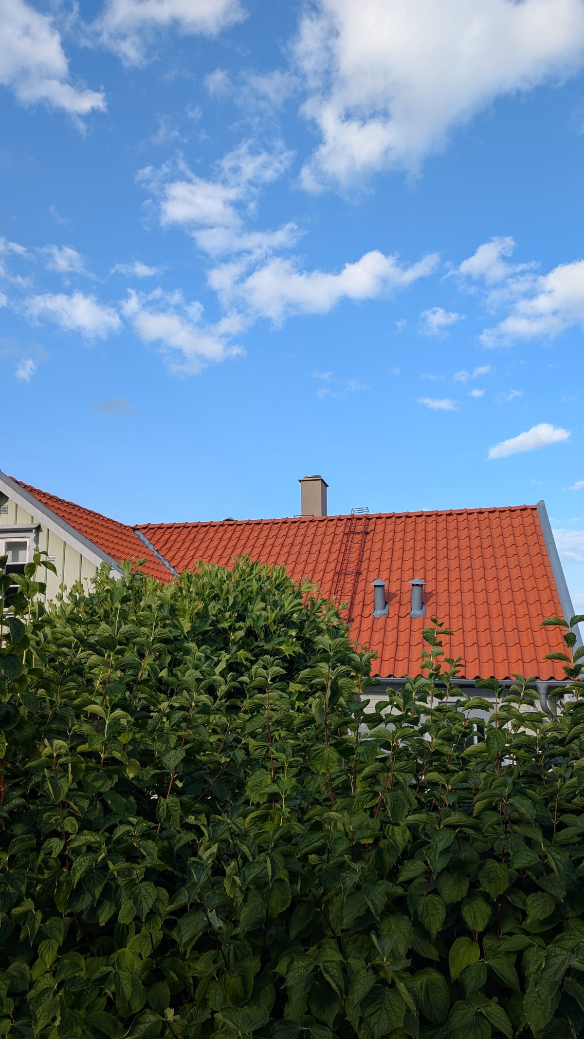 Taktvätt Lomma - villatak