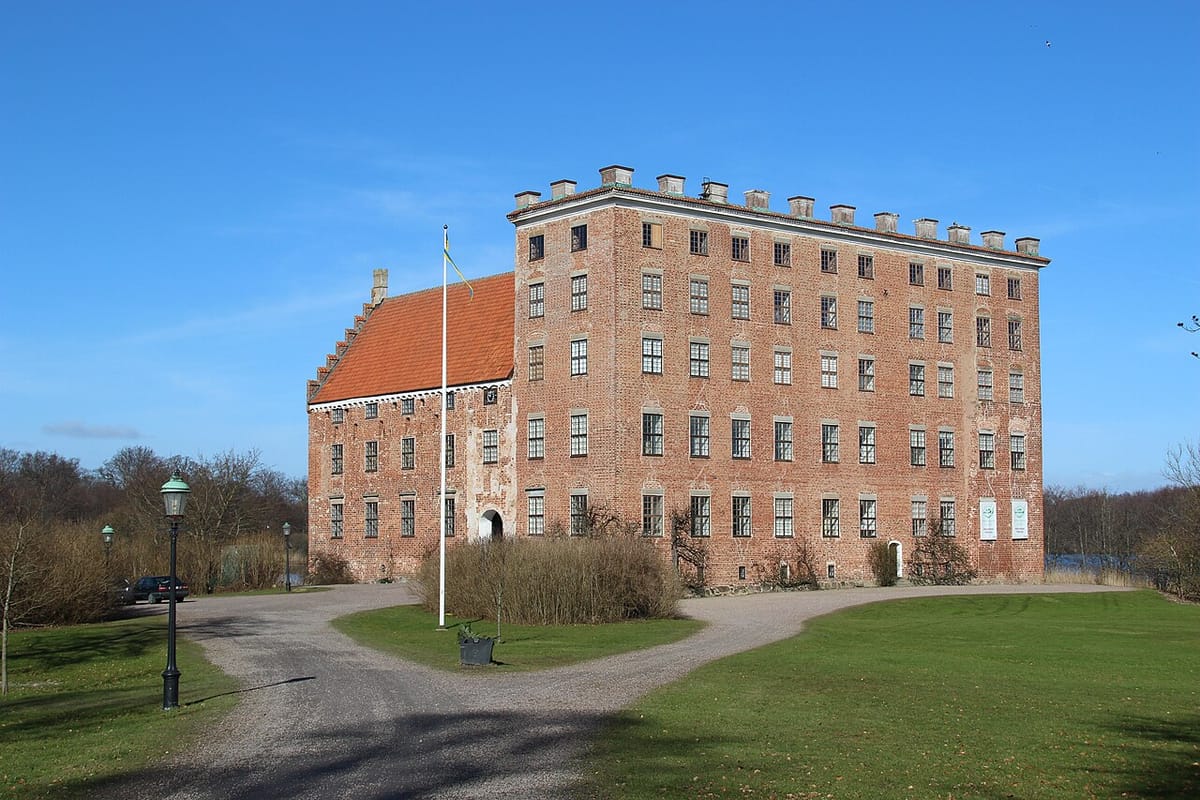 Taktvätt Skurup - Svaneholms slott
